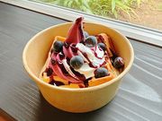 �t���[�c�X���@���_��̎ʐ^4