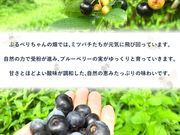 �Ԃ�ׂ肿���̔��̎ʐ^2