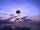 石垣島ブルーシーサーの写真4