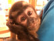 animal cafe fuleca X̎ʐ^3