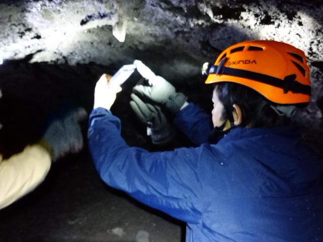 �t�W���}�g���b�N�c�A�[