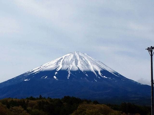 �t�W���}�g���b�N�c�A�[