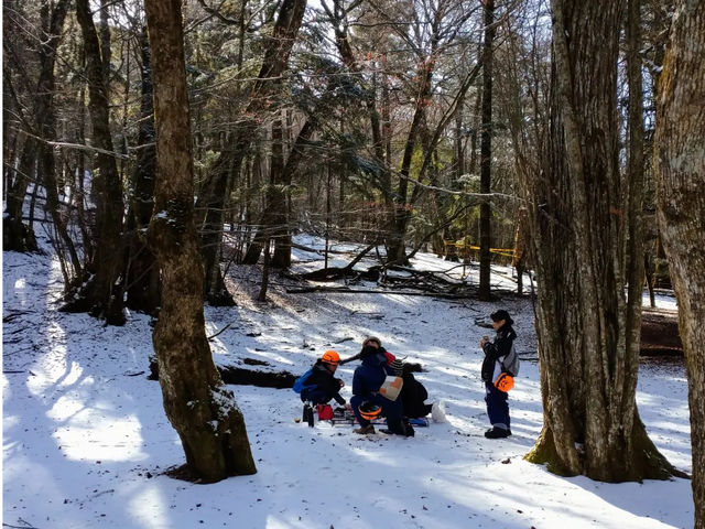 �t�W���}�g���b�N�c�A�[