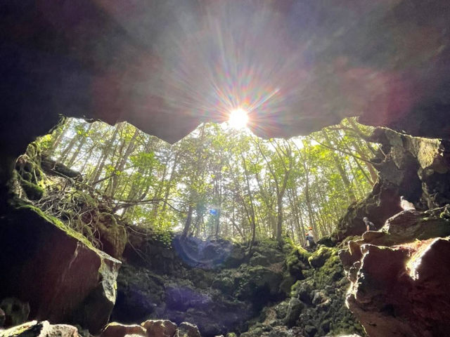 �t�W���}�g���b�N�c�A�[