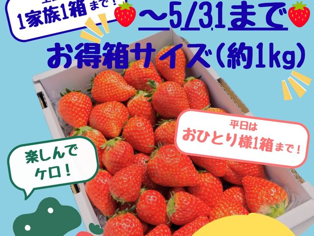 �P���P���̓m�̎ʐ^1