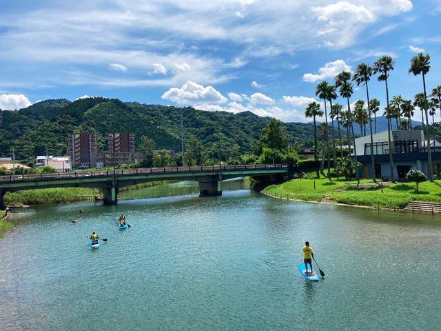 Paia(�p�C�A)�n���C�A��&�A�N�e�B�r�e�B�[