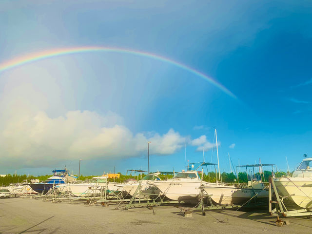 �}���[�i�ɓ��I_����ƑD�ӂ��܂遝OKINAWA