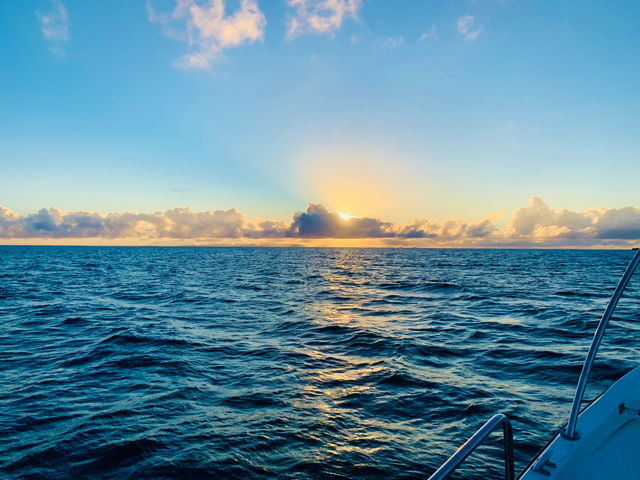 �g���C���C�g�N���[�W���O�I_����ƑD�ӂ��܂遝OKINAWA