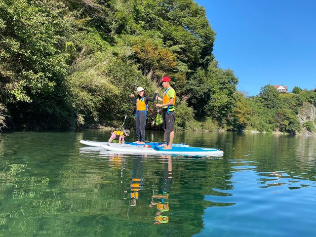 �h�b�OSUP���\�I
��x���₢���킹���������I_�u���A�h�x���`���[�R���T���^���c