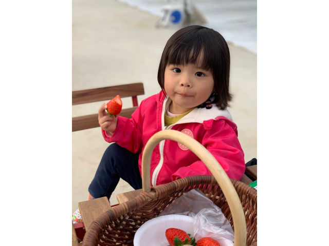 �킽���̎�����������A���������ˁ�_ichigos Yokohama-�C�`�S�X���l