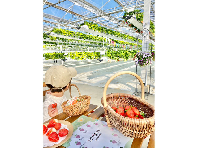 ���Ɏ��n���邢�������l���Ȃ���A�e�[�u���Ȃł�����肨�����オ�肭�������B_ichigos Yokohama-�C�`�S�X���l