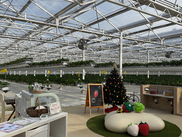 �����ɓ���Ƃ������̍���ɕ�܂�܂��B
��t�O�̃X�y�[�X�͏��荇���ĂǂȂ��ł������p���������B_ichigos Yokohama-�C�`�S�X���l