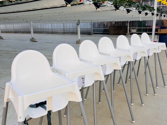 �����Ȃ��q�l�p�̃C�X�̂��p�ӂ��������܂��B_ichigos Yokohama-�C�`�S�X���l