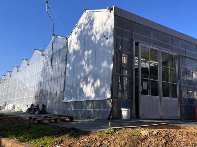 ������͏]�ƈ��p�����ł��B_ichigos Yokohama-�C�`�S�X���l