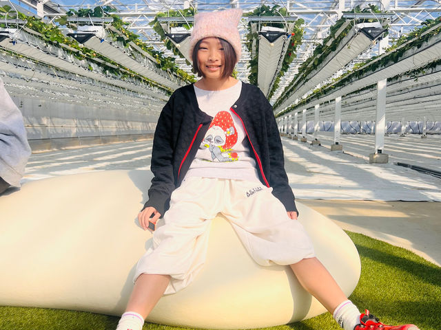 �������̂悤�ȃ\�t�@�͂��q�l�ɂ��l�C�ł��B��ɏ�鎞�͌C�����E�����������ˁB_ichigos Yokohama-�C�`�S�X���l