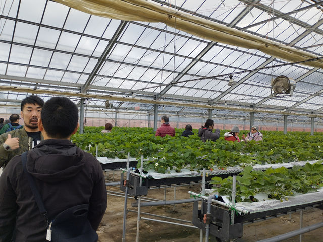 �傫�ȃC�`�S�n�E�X�ł������ƃC�`�S�����y����Œ����܂��B_�����_��