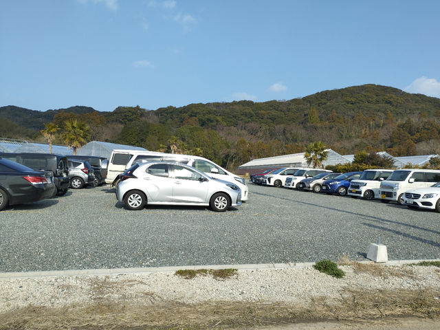 ���ԏ�͍������y�������l�܂�����R�̎Ԃ���܂��Ă��܂��B�B_�����_��