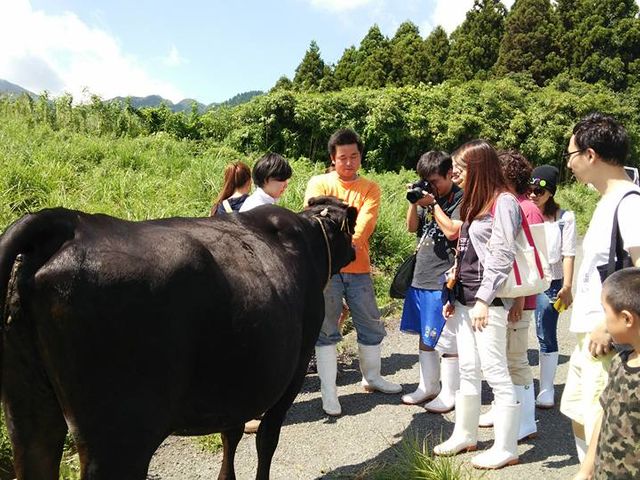 �q��E�䂪�Ƃ̋�������Ă���_�̌����h�Ȃ��ނ�q��