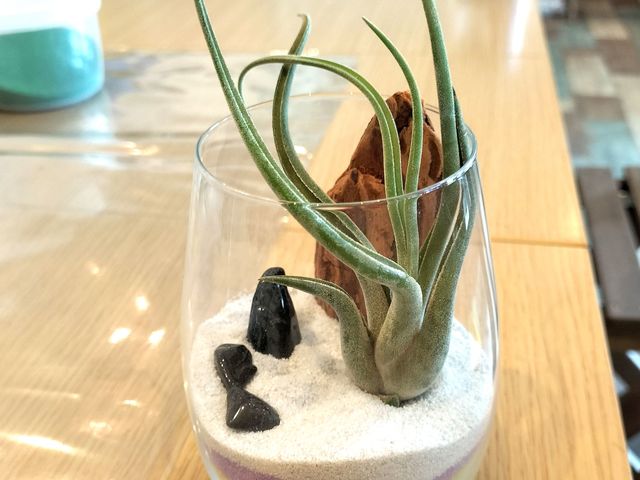 �J���[�T���h�ƃG�A�[�v�����c�̃v�����c�e�����E��_���^���t�H���X�g