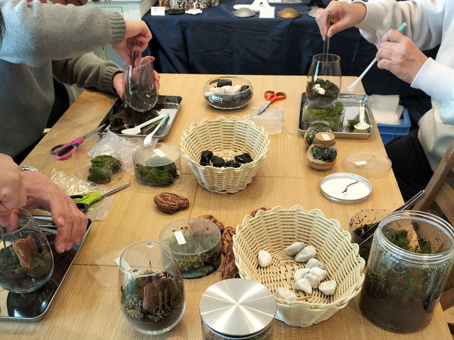 �F����y�������ł����^���ł��B_���^���t�H���X�g