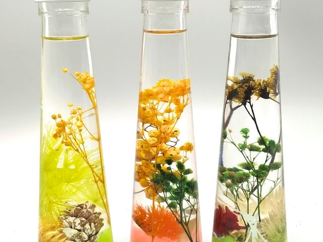 �n�[�o���E���̃��[�N�V���b�v���X�^�[�g���܂��B_���^���t�H���X�g