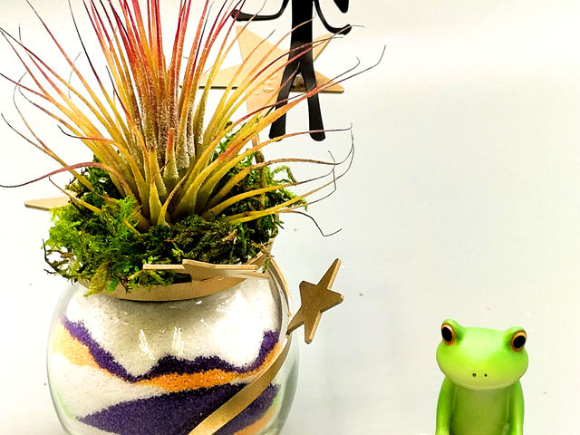 ���[�N�V���b�v�A����̃v�����c�@�C�x���g�ł͐l�C�̃��[�N�V���b�v_���^���t�H���X�g