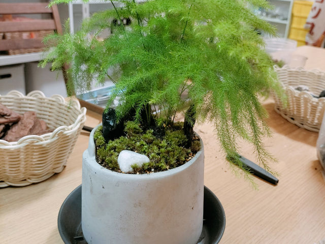 �ۖ~�͂̃��[�N�V���b�v�ł��B_���^���t�H���X�g