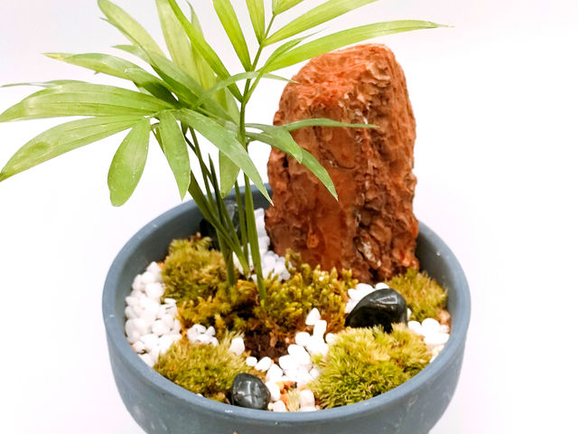 �V���v���ȑۖ~��_���^���t�H���X�g