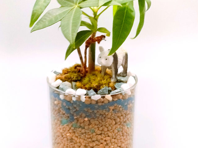 �ϗt�A���u�p�L���ƃA�j�}���v_���^���t�H���X�g