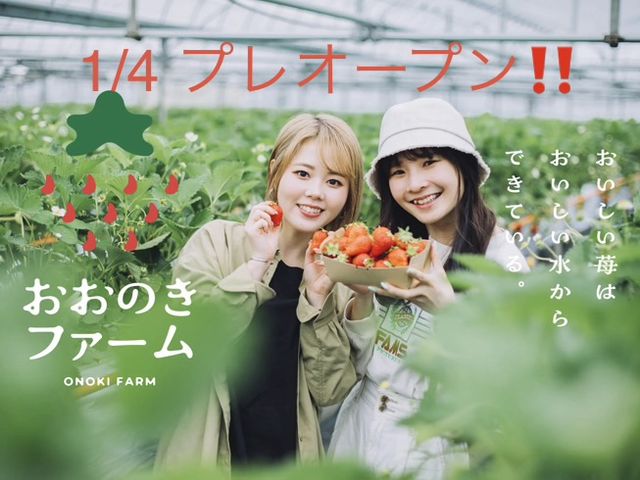 �����̂��t�@�[���̎ʐ^1