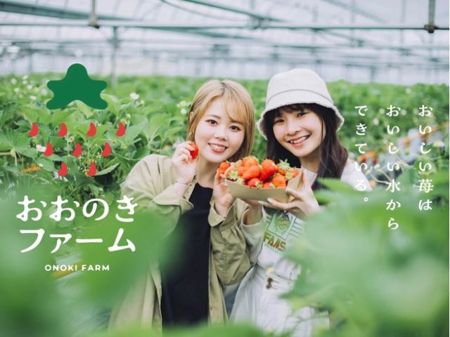 �����̂��t�@�[���̎ʐ^1