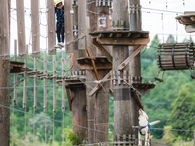 �󒆃A�X���`�b�N 58 WILD FOREST ONE�̎ʐ^1