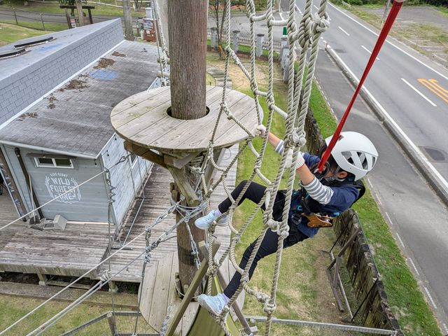 �󒆃A�X���`�b�N 58 WILD FOREST ONE