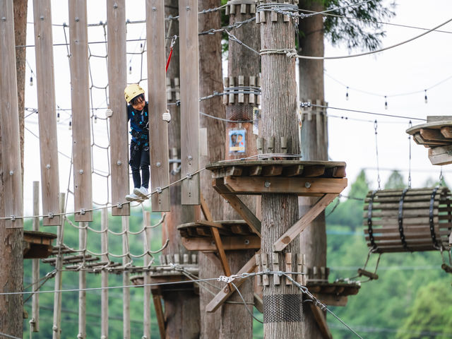 �󒆃A�X���`�b�N 58 WILD FOREST ONE