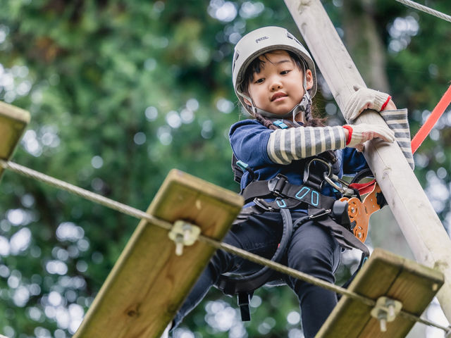 �󒆃A�X���`�b�N 58 WILD FOREST ONE