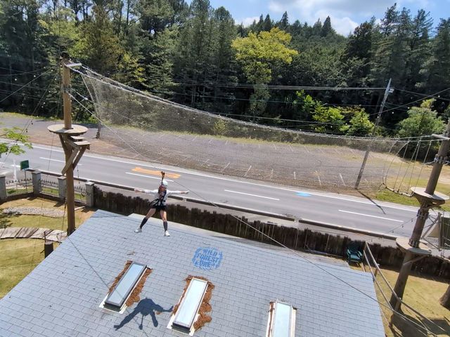 �󒆃A�X���`�b�N 58 WILD FOREST ONE