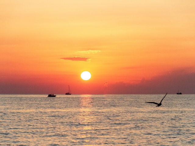 �����������������\�o����v��������_Bac wave of beppu