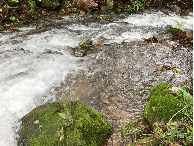 ��ł��V�ׂ܂�_�n�`���� THE PARK -SAUNA-