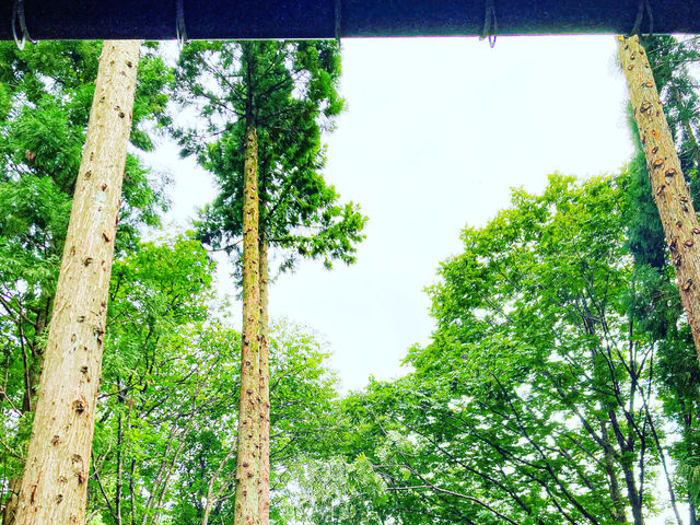 �ƂƂ̂��X�y�[�X����̒���_�n�`���� THE PARK -SAUNA-