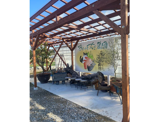 �����̂������_��