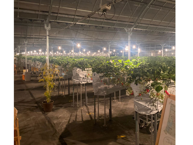 ̂͋jƓyjłB
̂vB_̂_