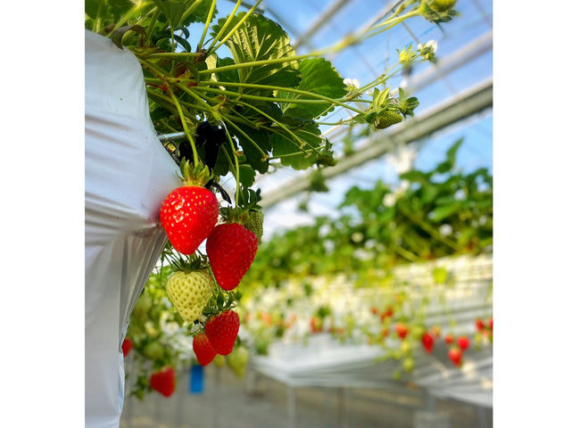 ͂QB
߂̂AЂ߂ĂĂ܂
ނ͑Iׂ܂̂œǂɂȂ邩y݂ɁI_̂_