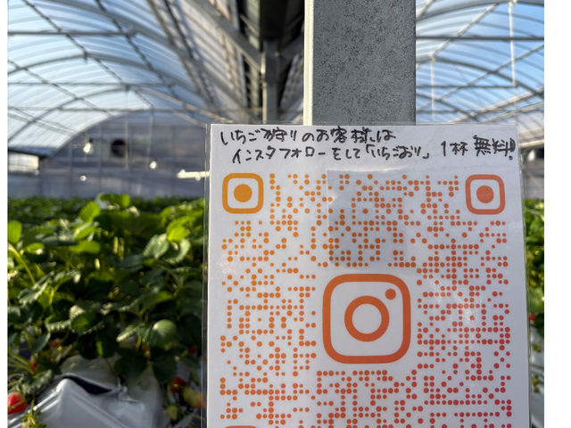 ���������̂��q�l�̓C���X�^�t�H���[���āw����������x��t����(�����A��s��)�ɂȂ�܂��B_�����̂������_��