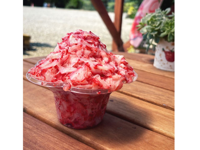 �C���X�^�t�H���[�Łw����������x����t�����T�[�r�X�I_�����̂������_��