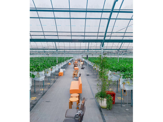 �����̂������_���̎ʐ^1