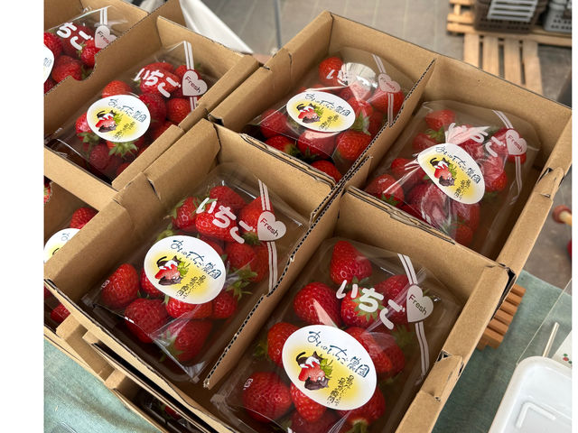 �_�����������ł́A���̓��Ɏ��n�����V�N�Ȃ�������̔����Ă��܂��B
���y�Y������]�̕��͎�t�̍ۂɂ��\���t���������B_�����̂������_��