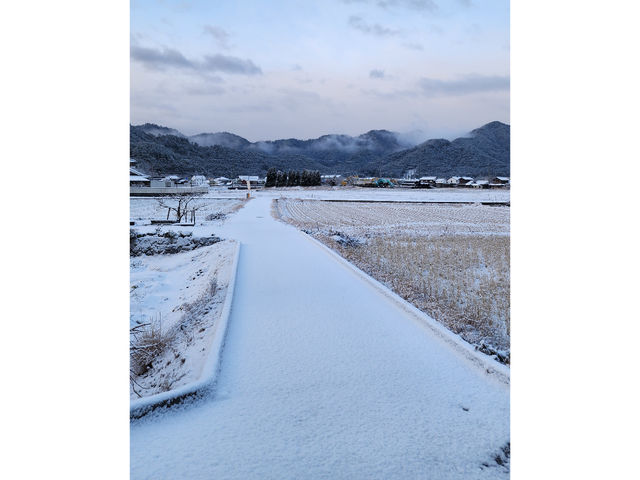 ��_��O�����[