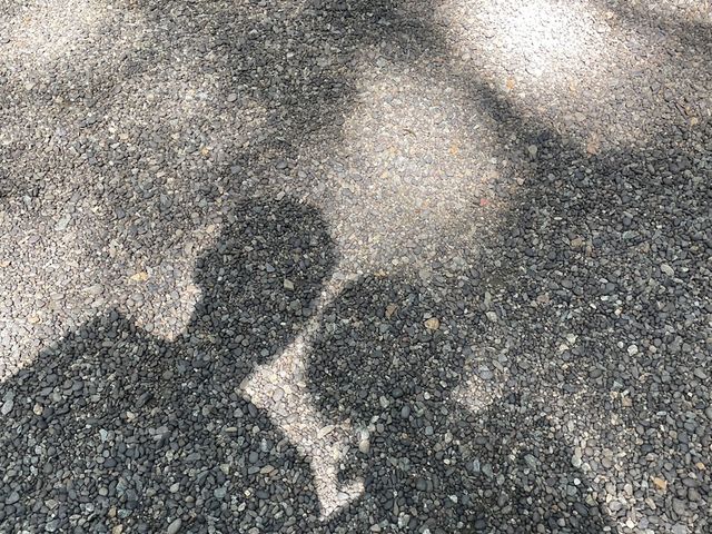 �ꐶ�̎v���o�Ɉɐ��Ղ�����_�ɐ��Ղ�����