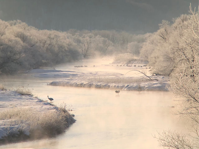 2���̑����B�^���`���E�̐Q����ᗡ��_East power