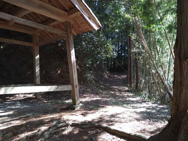 �n��Z�����������Ă���Ƃ���������B_�b�ꃊ�A���E�Ҍ�����